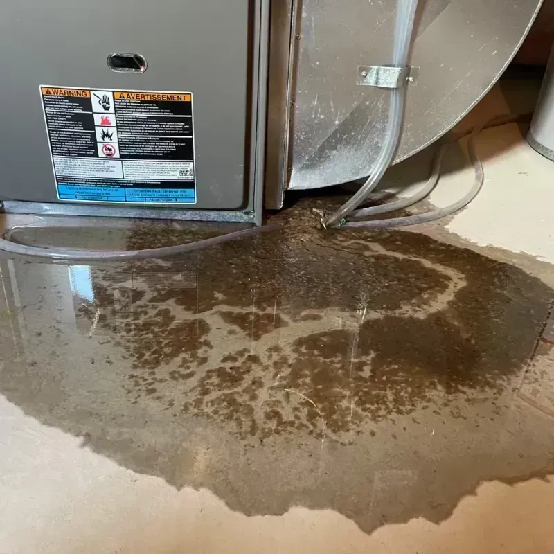 Appliance Leak Cleanup in Central City, IL